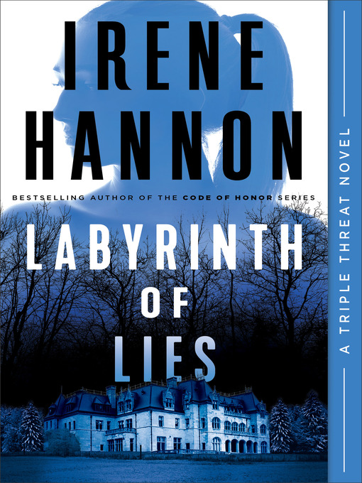 Title details for Labyrinth of Lies by Irene Hannon - Wait list
